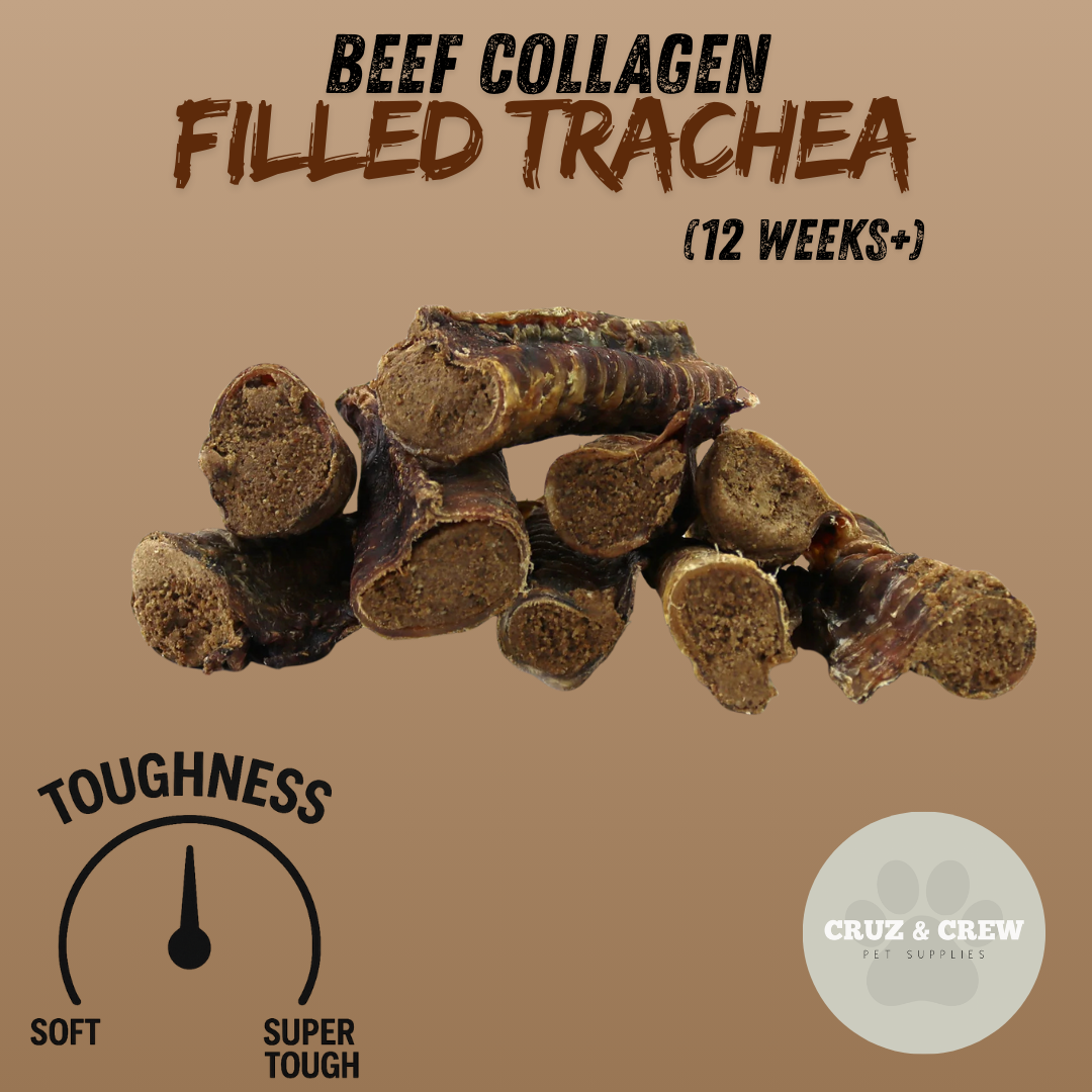 Pick 'n' Mix Natural Dog Treats – Your Pup’s Favourites in One Box!