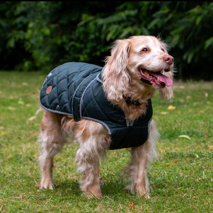 Ancol Hertage Dog Coat Collection
