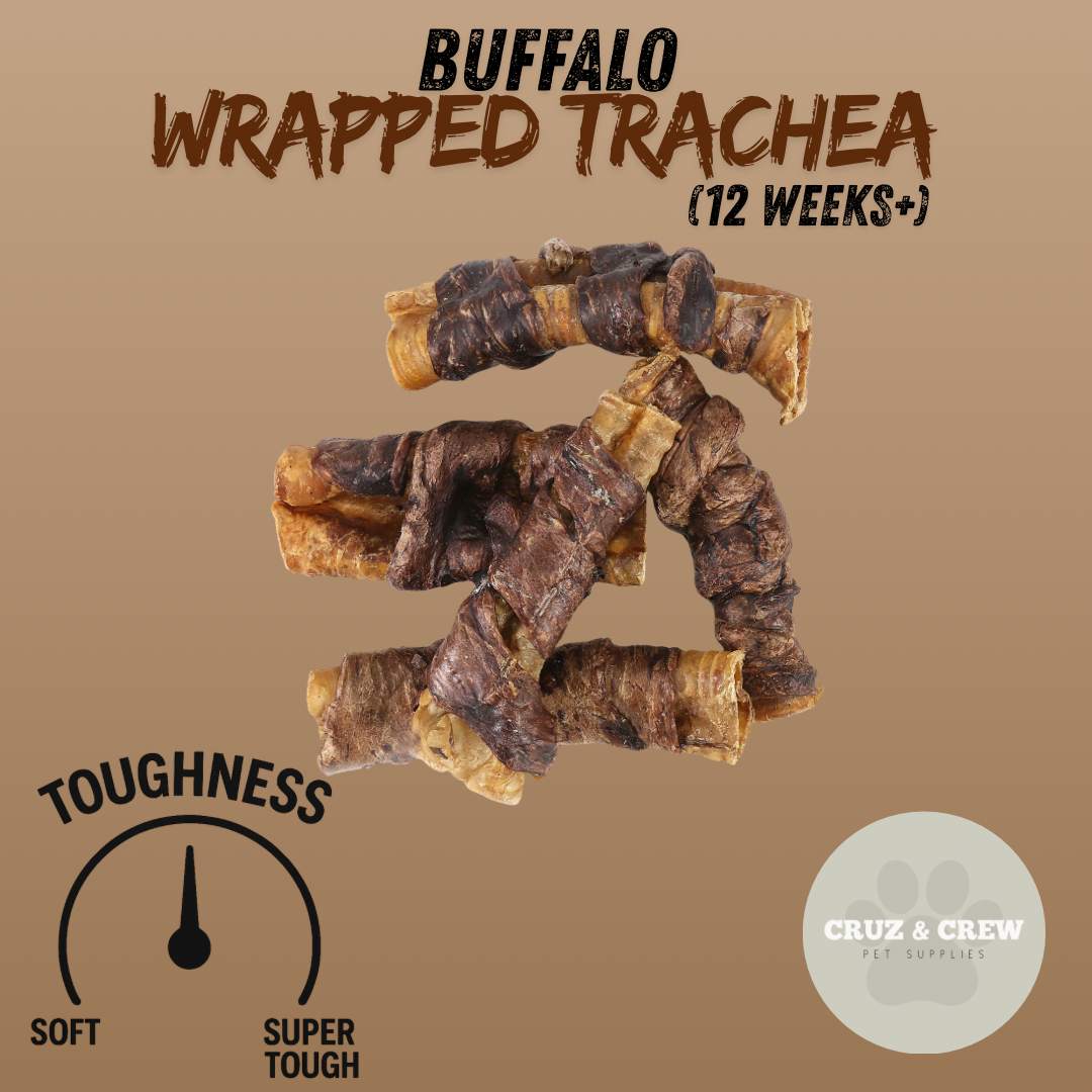 Pick 'n' Mix Natural Dog Treats – Your Pup’s Favourites in One Box!