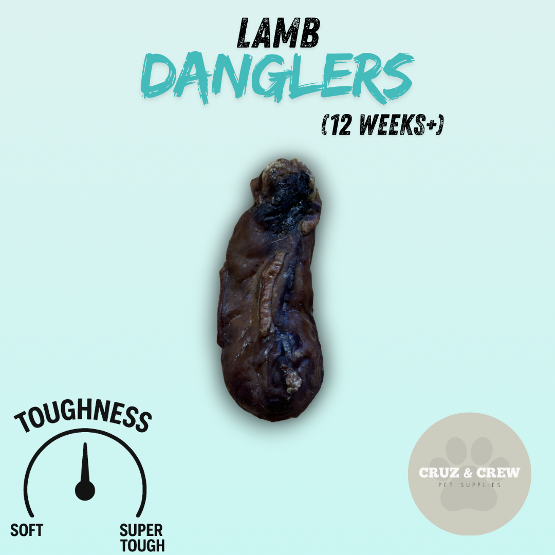 Pick 'n' Mix Natural Dog Treats – Your Pup’s Favourites in One Box!