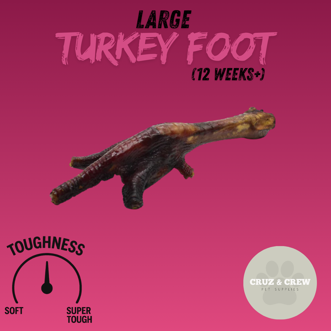 Pick 'n' Mix Natural Dog Treats – Your Pup’s Favourites in One Box!