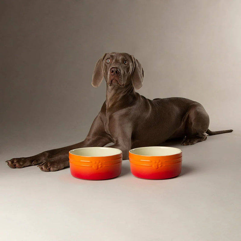 Scruffs® Bowls & Accessories Collection – Stylish & Practical for Every Pet 🐾-zoom-