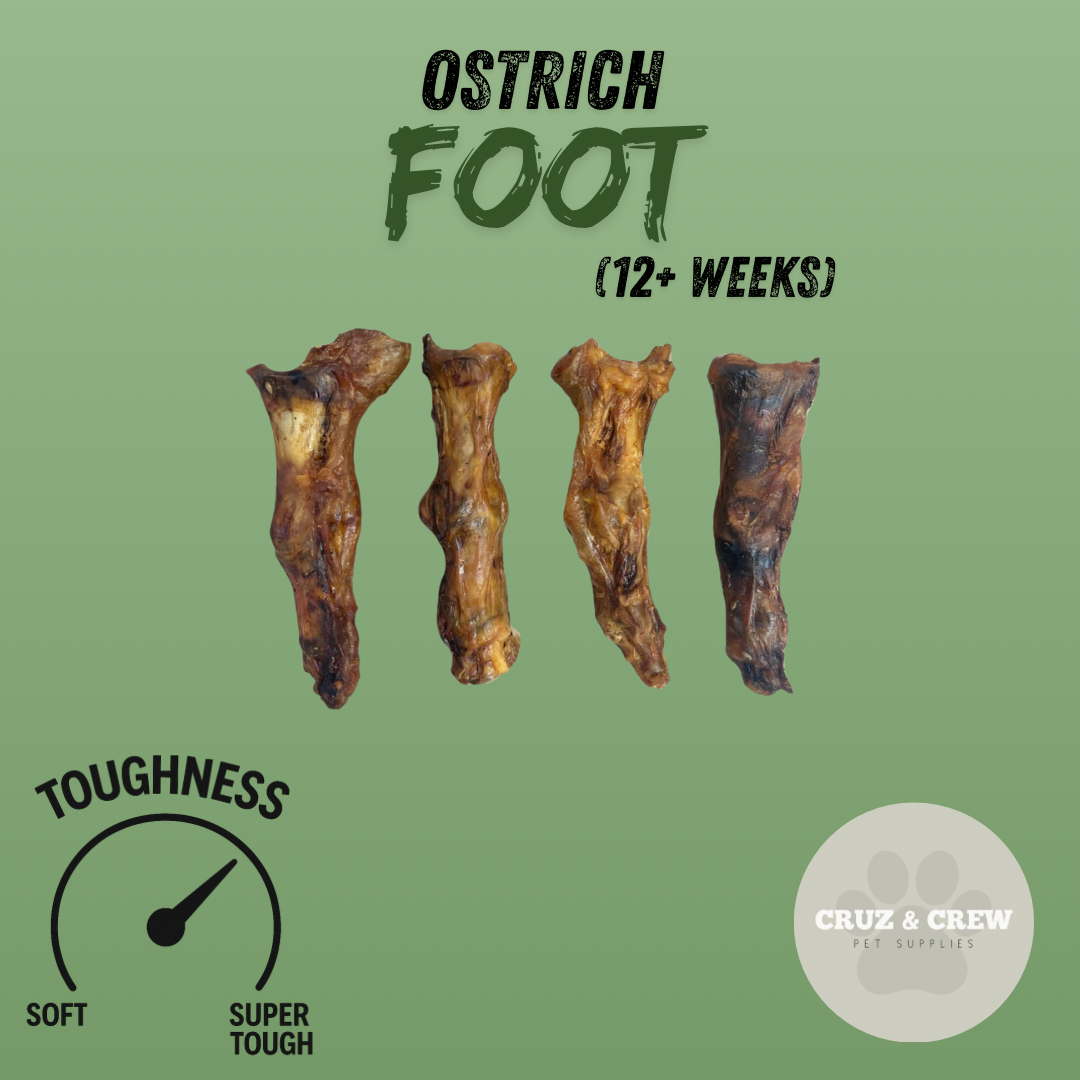 Pick 'n' Mix Natural Dog Treats – Your Pup’s Favourites in One Box!