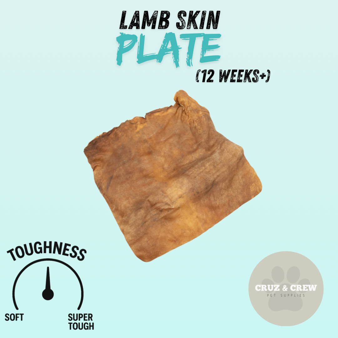 Pick 'n' Mix Natural Dog Treats – Your Pup’s Favourites in One Box!