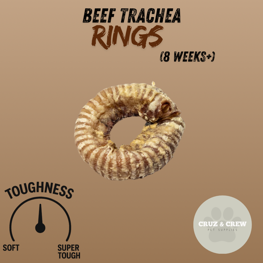 Pick 'n' Mix Natural Dog Treats – Your Pup’s Favourites in One Box!