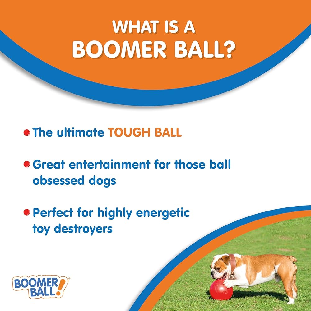 CoA Boomer Ball - Virtually Indestructible Dog Toy-zoom-2