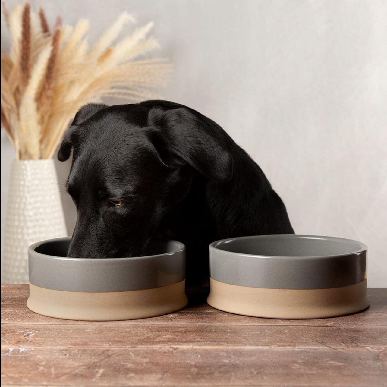 Scandi Pet Bowls - Nordic Design, Modern Minimalist Aesthetic