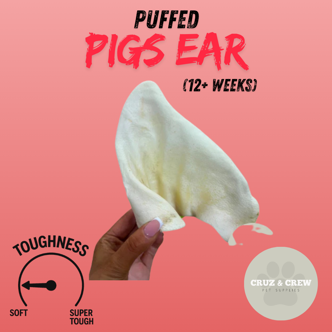 Pick 'n' Mix Natural Dog Treats – Your Pup’s Favourites in One Box!