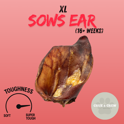 Pick 'n' Mix Natural Dog Treats – Your Pup’s Favourites in One Box!