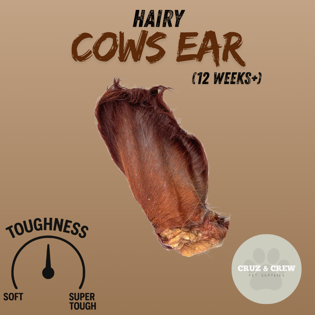 Pick 'n' Mix Natural Dog Treats – Your Pup’s Favourites in One Box!