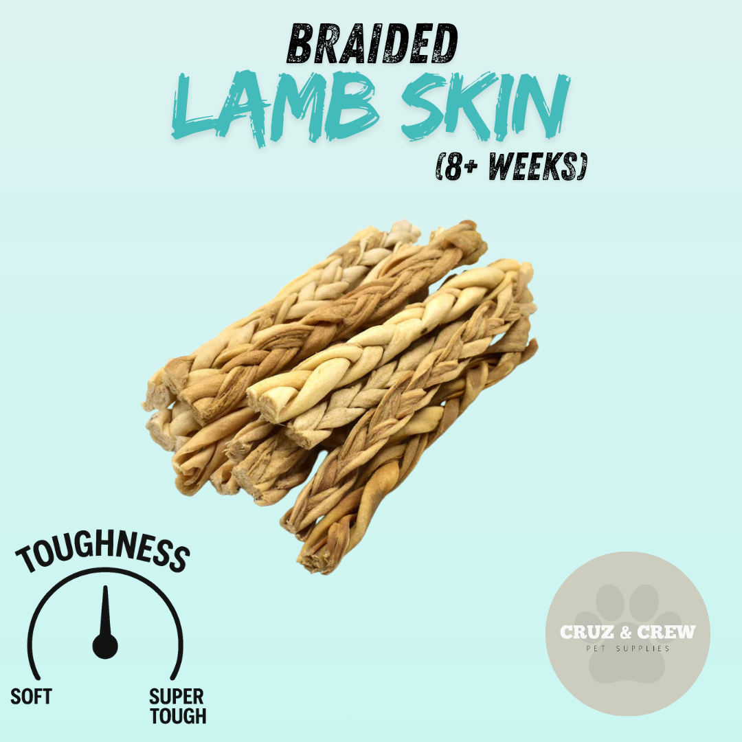 Pick 'n' Mix Natural Dog Treats – Your Pup’s Favourites in One Box!