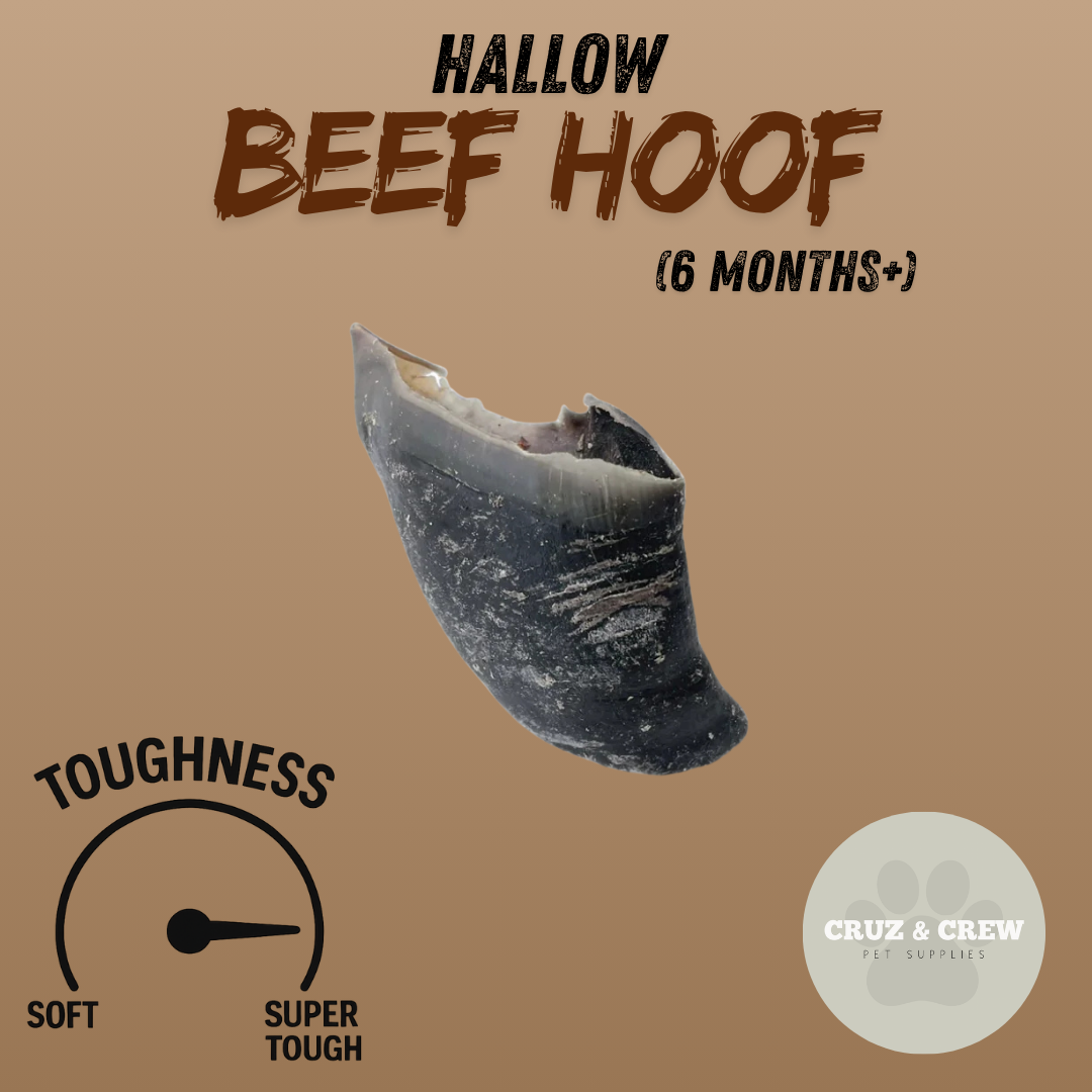 Pick 'n' Mix Natural Dog Treats – Your Pup’s Favourites in One Box!