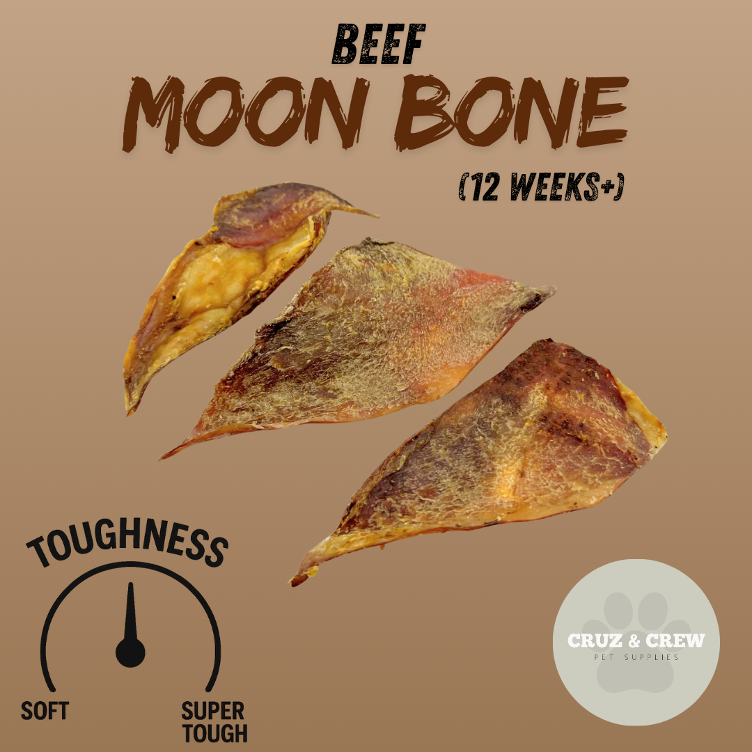 Pick 'n' Mix Natural Dog Treats – Your Pup’s Favourites in One Box!