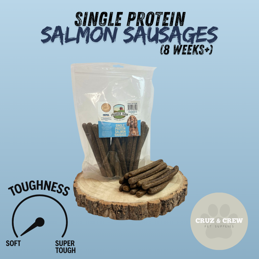 Pick 'n' Mix Natural Dog Treats – Your Pup’s Favourites in One Box!