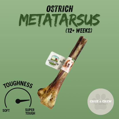 Pick 'n' Mix Natural Dog Treats – Your Pup’s Favourites in One Box!