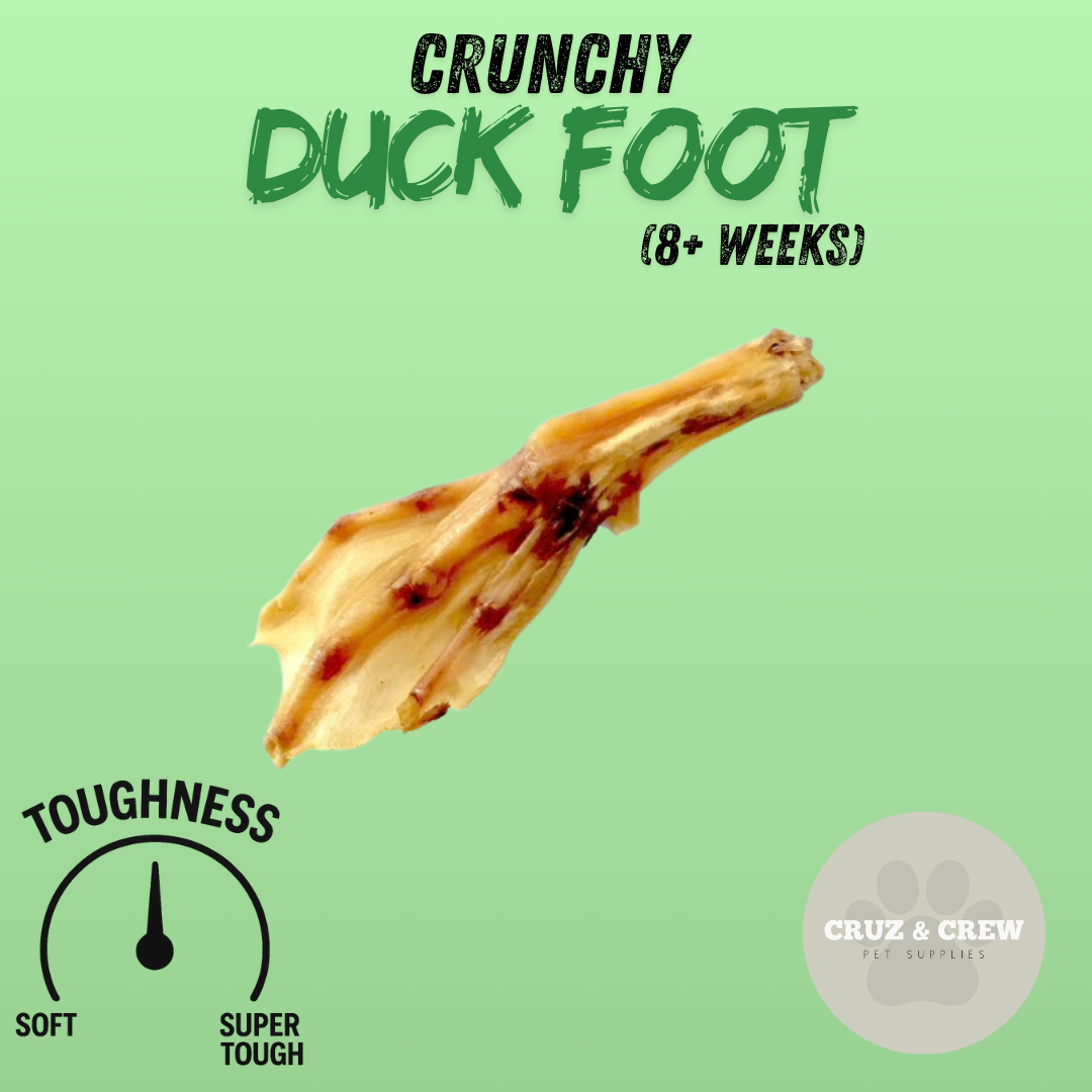 Pick 'n' Mix Natural Dog Treats – Your Pup’s Favourites in One Box!