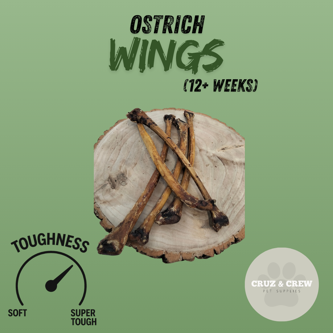 Pick 'n' Mix Natural Dog Treats – Your Pup’s Favourites in One Box!