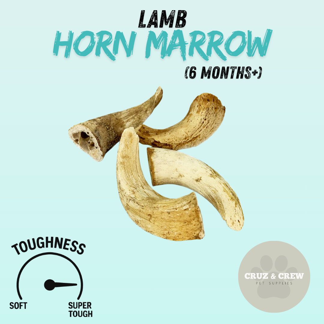 Pick 'n' Mix Natural Dog Treats – Your Pup’s Favourites in One Box!