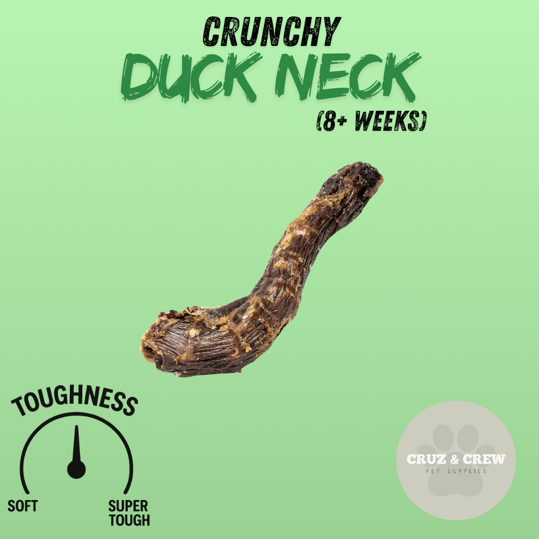 Pick 'n' Mix Natural Dog Treats – Your Pup’s Favourites in One Box!