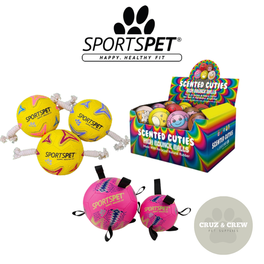 🏈 Sport Pet Ball & Rugby Ball Range – Tug, Fetch & Play! 🐶