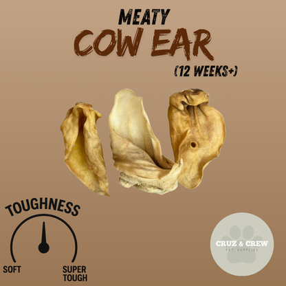 Pick 'n' Mix Natural Dog Treats – Your Pup’s Favourites in One Box!