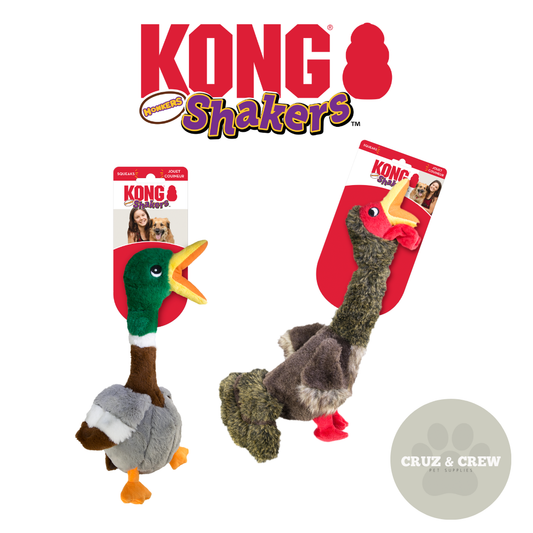 KONG Shakers Honker Dog Toy