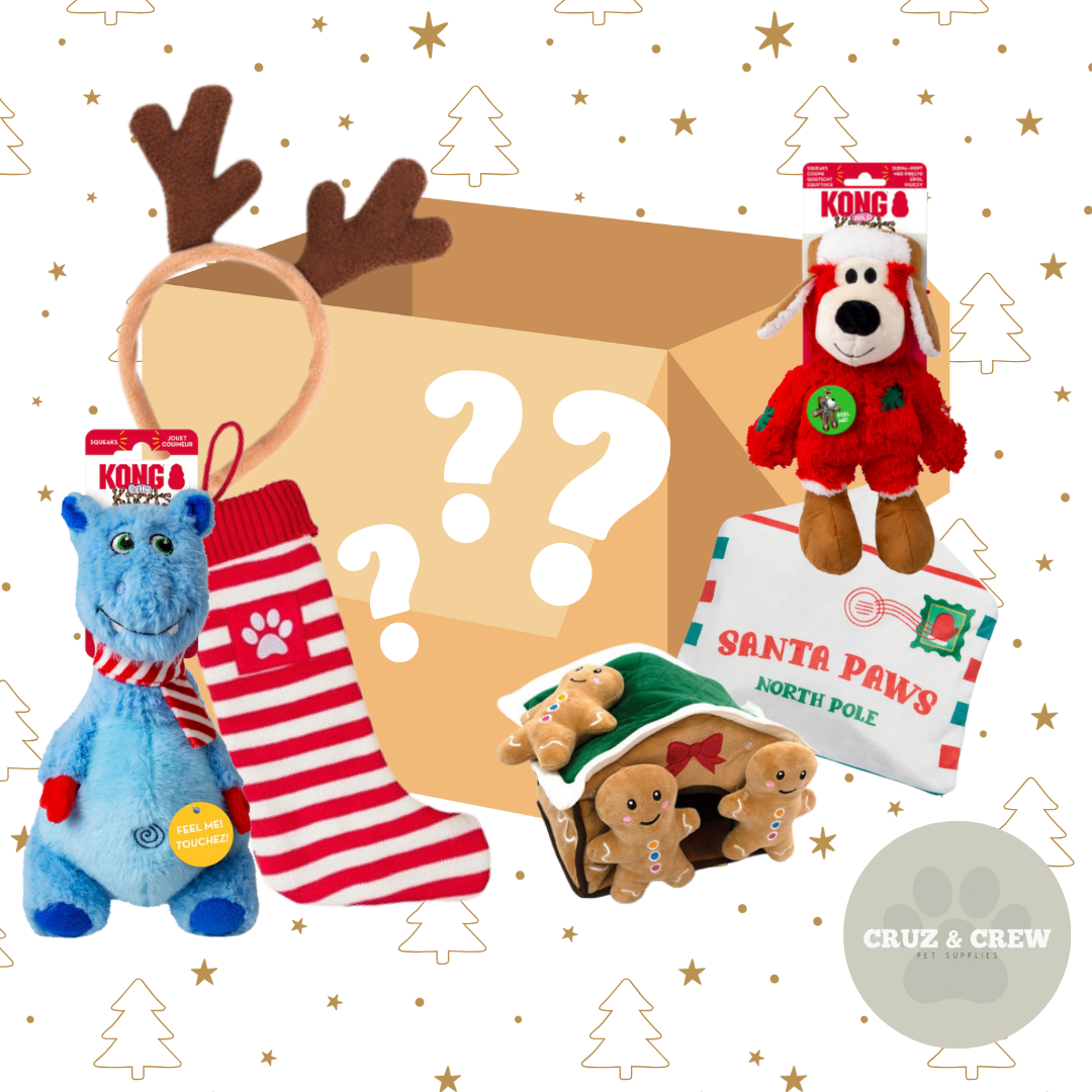 Cruz & Crew Pet Supplies Dog Christmas Toy & Accessories Mystery Box