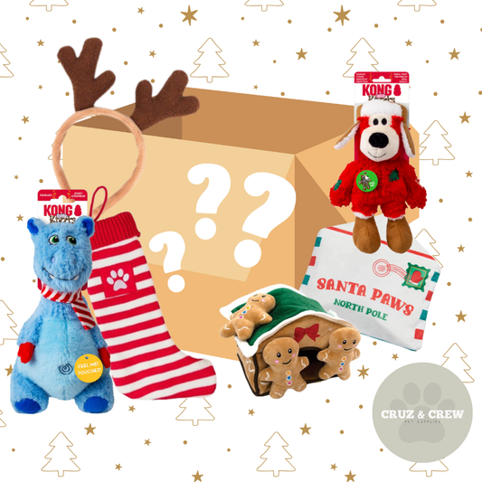 Cruz & Crew Pet Supplies Dog Christmas Toy & Accessories Mystery Box