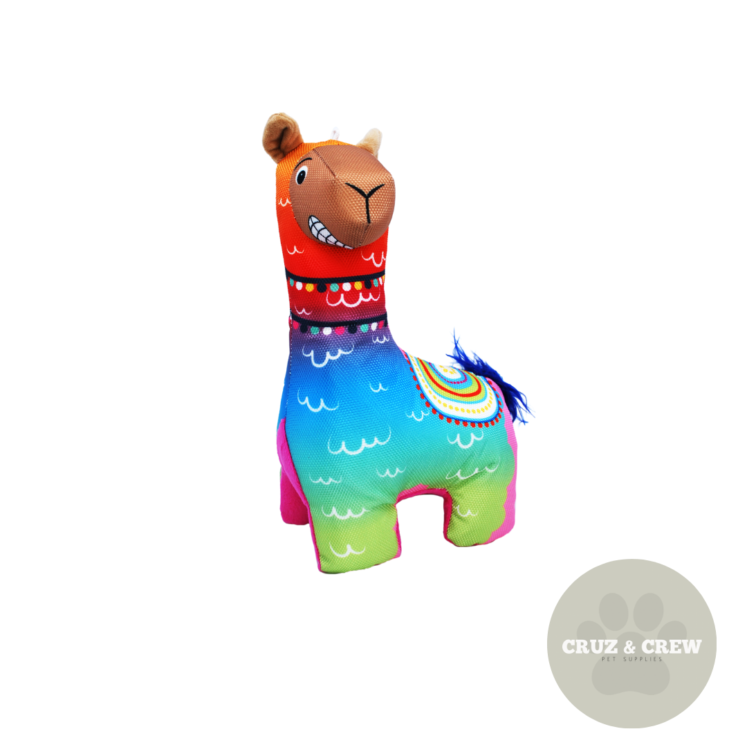 KONG Ballistic Vibez Birds Llamas Dog Toys - Durable Material