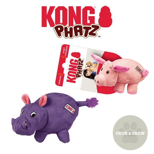 KONG Phatz Dog Toy Range
