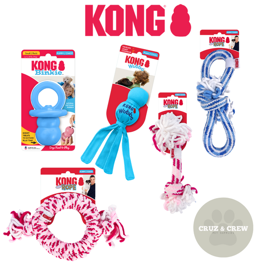 KONG Puppy Toys – The Perfect Start for Playful Pups