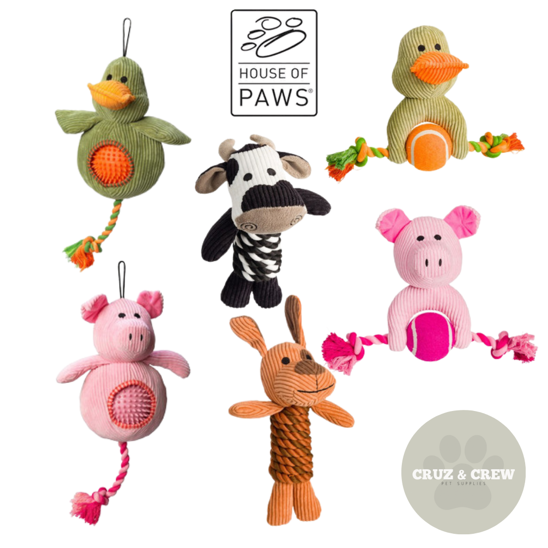 House Of Paws Plush Dog Toys - Perfect Toy for Your Pet