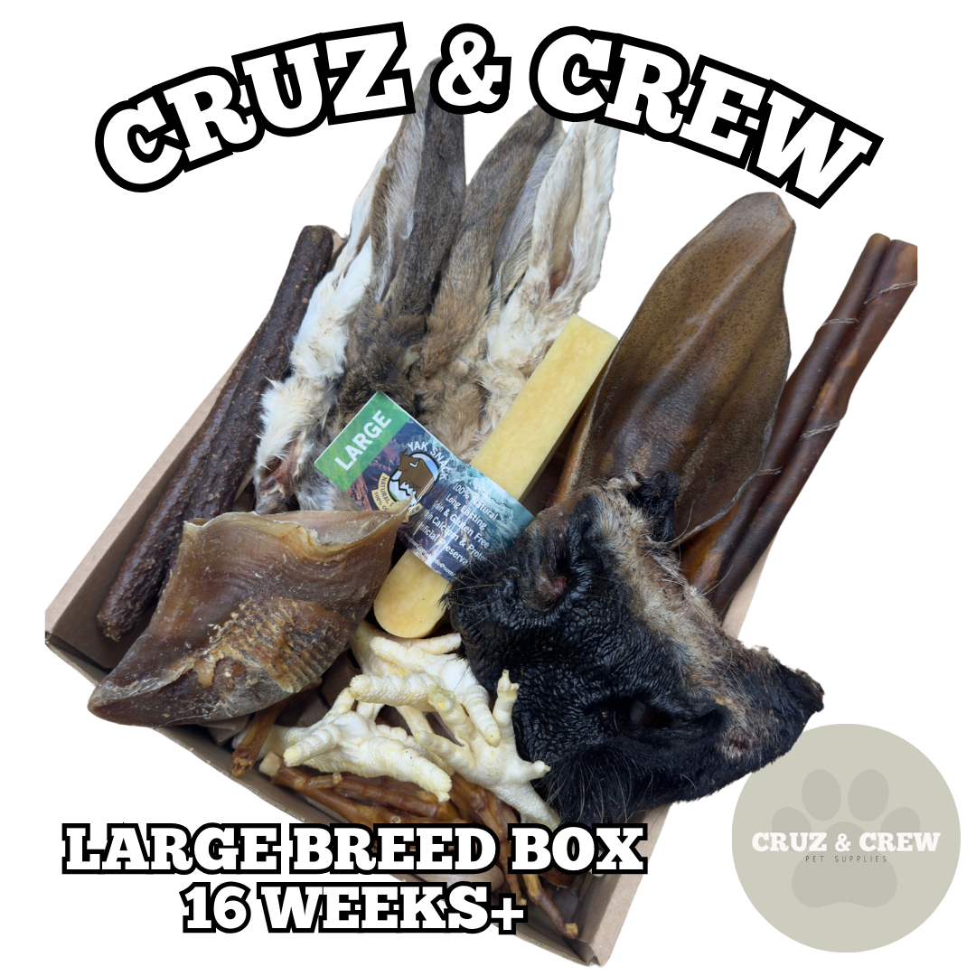 Natural Dog Treat Box – Variety Selection | Multiple Sizes & Options Available