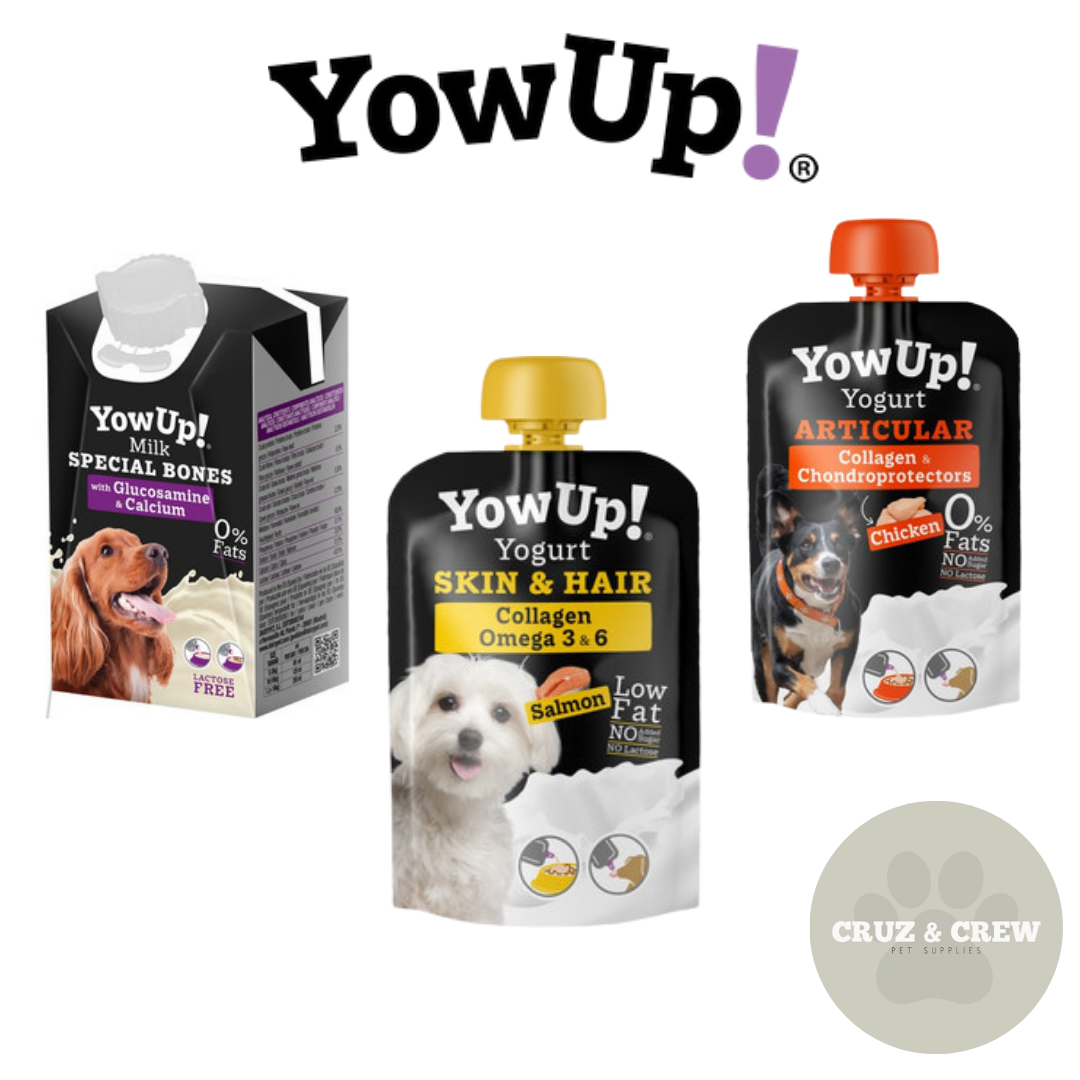 YowUp! Dog Yogurts – Nutritious, Tasty & Enriching Treats