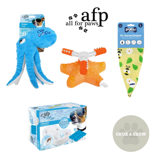 Cooling Toys & Accessories for Dogs – Keep Your Pup Refreshed! ❄️🐶