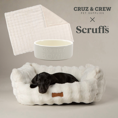 Scruffs® My First Puppy Range