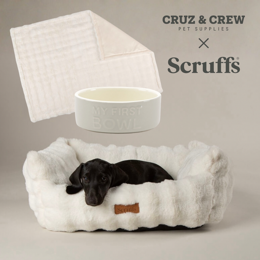 Scruffs® My First Puppy Range