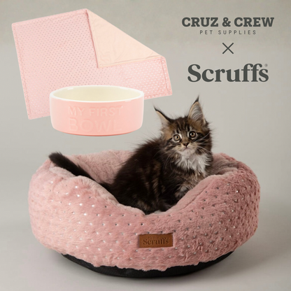 Scruffs® My First Puppy Range
