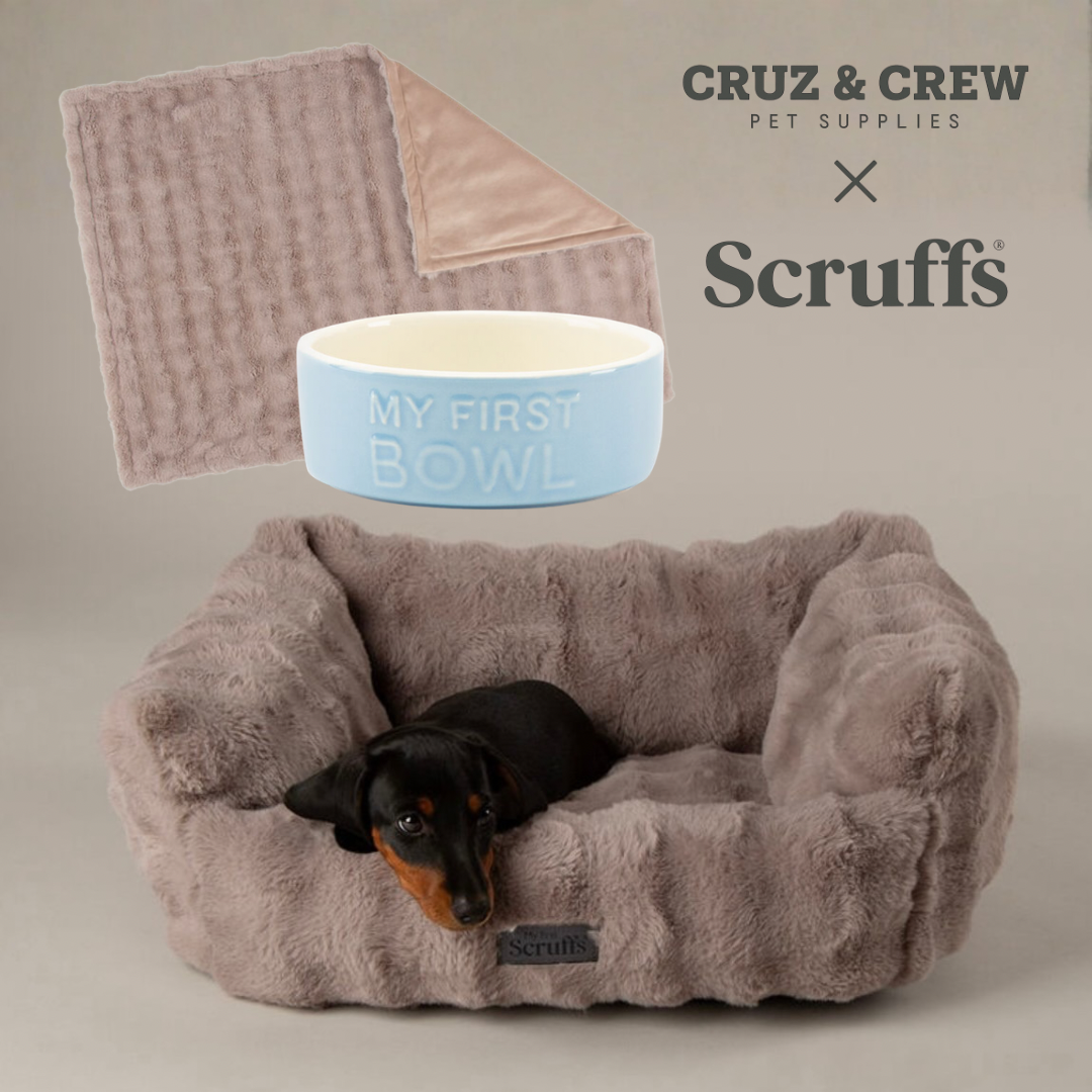 Scruffs® My First Puppy Range