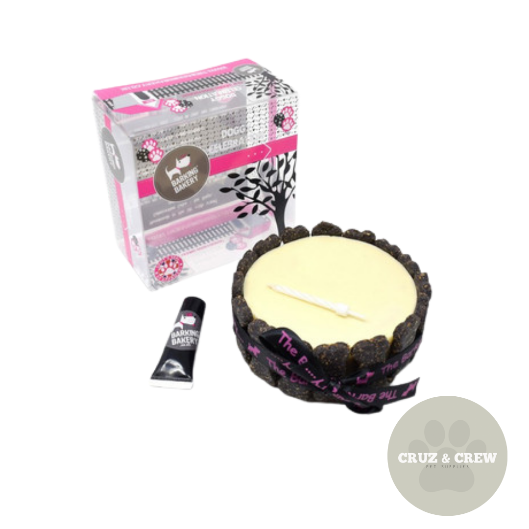 Birthday Range For Dogs - Durable And Fun
