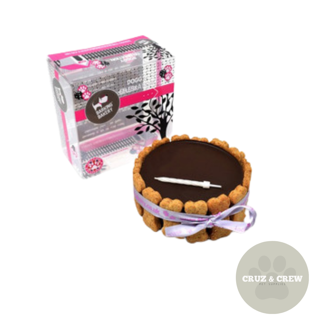 Birthday Range For Dogs - Durable And Fun