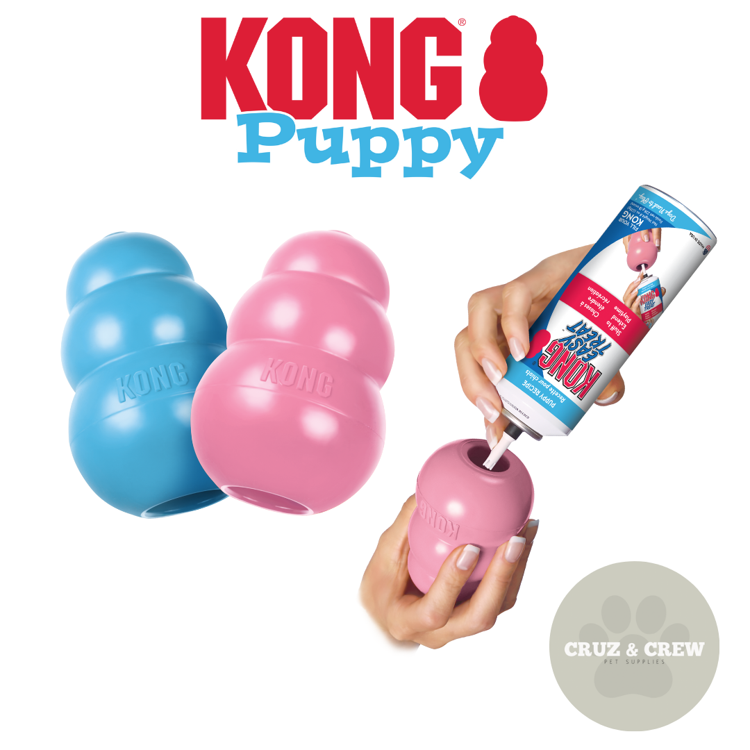 KONG Treat Dispenser Chew Toy