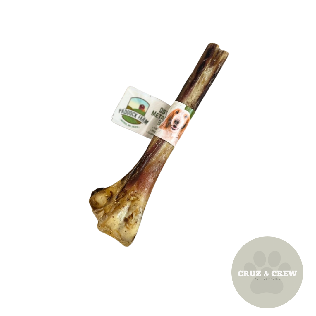Pick 'n' Mix Natural Dog Treats – Your Pup’s Favourites in One Box!