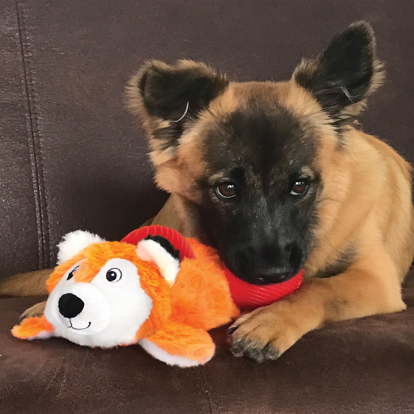 KONG Cozie Pocketz - Puzzle Toy for Dogs - Perfect for Playtime